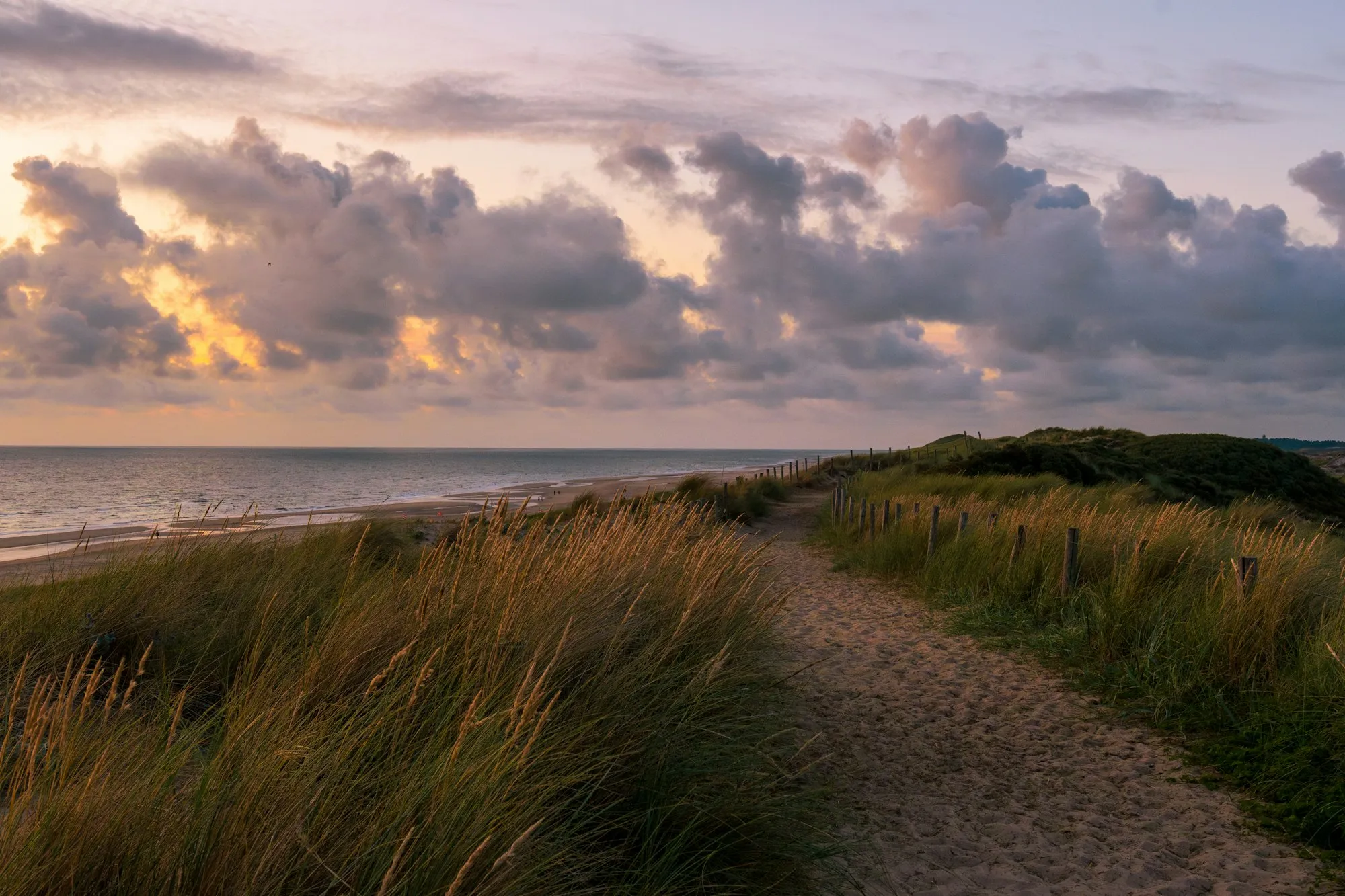 Duinpad naar zee bij Egmond aan Zee in de avondzon